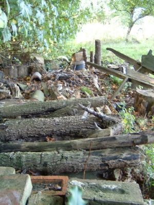 Horizontal log pile, brick beetle bank, roof tiles, leaves and ferns